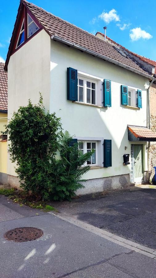 Schoenes Gemuetliches Haus Toplage Freinsheim Esterno foto