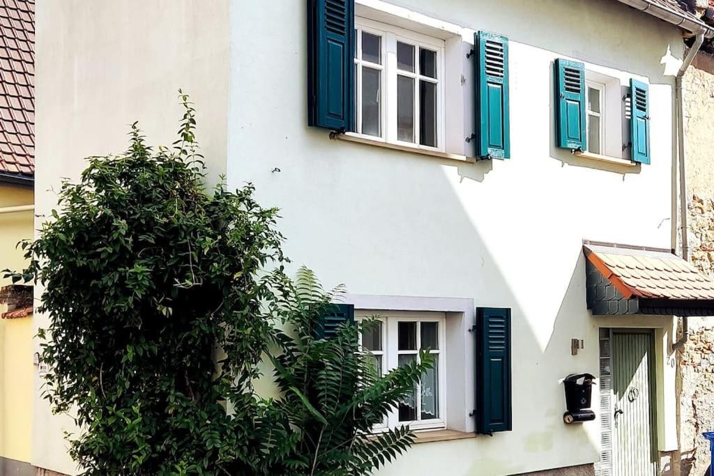 Schoenes Gemuetliches Haus Toplage Freinsheim Esterno foto